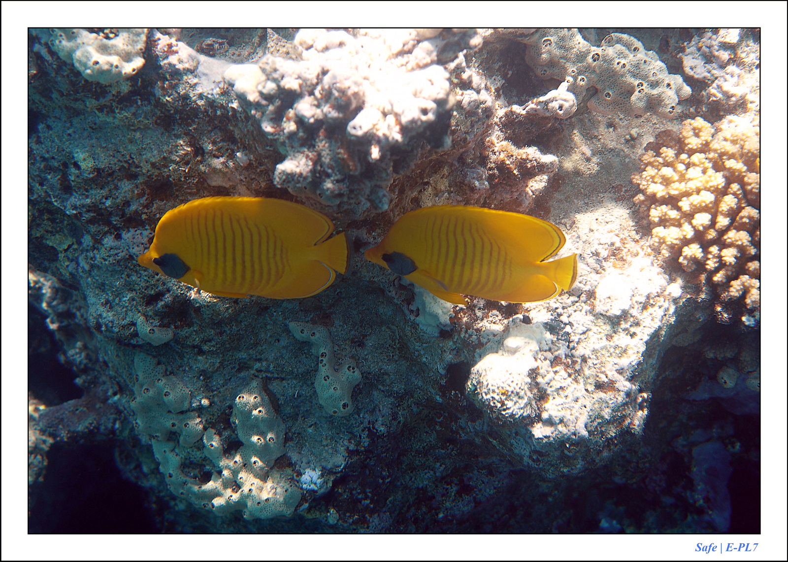 Hurghada - Juillet 2021 - 101